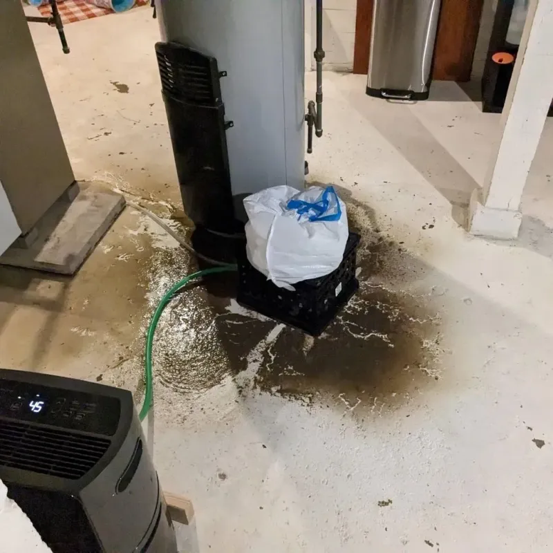 Sewage Backup Cleanup Service in Enlow, PA